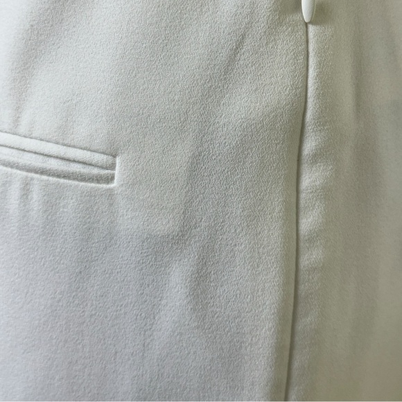 469 - MELANIE LYNE PANTS LINED DRESS Ankle Pants - Picture 5 of 15